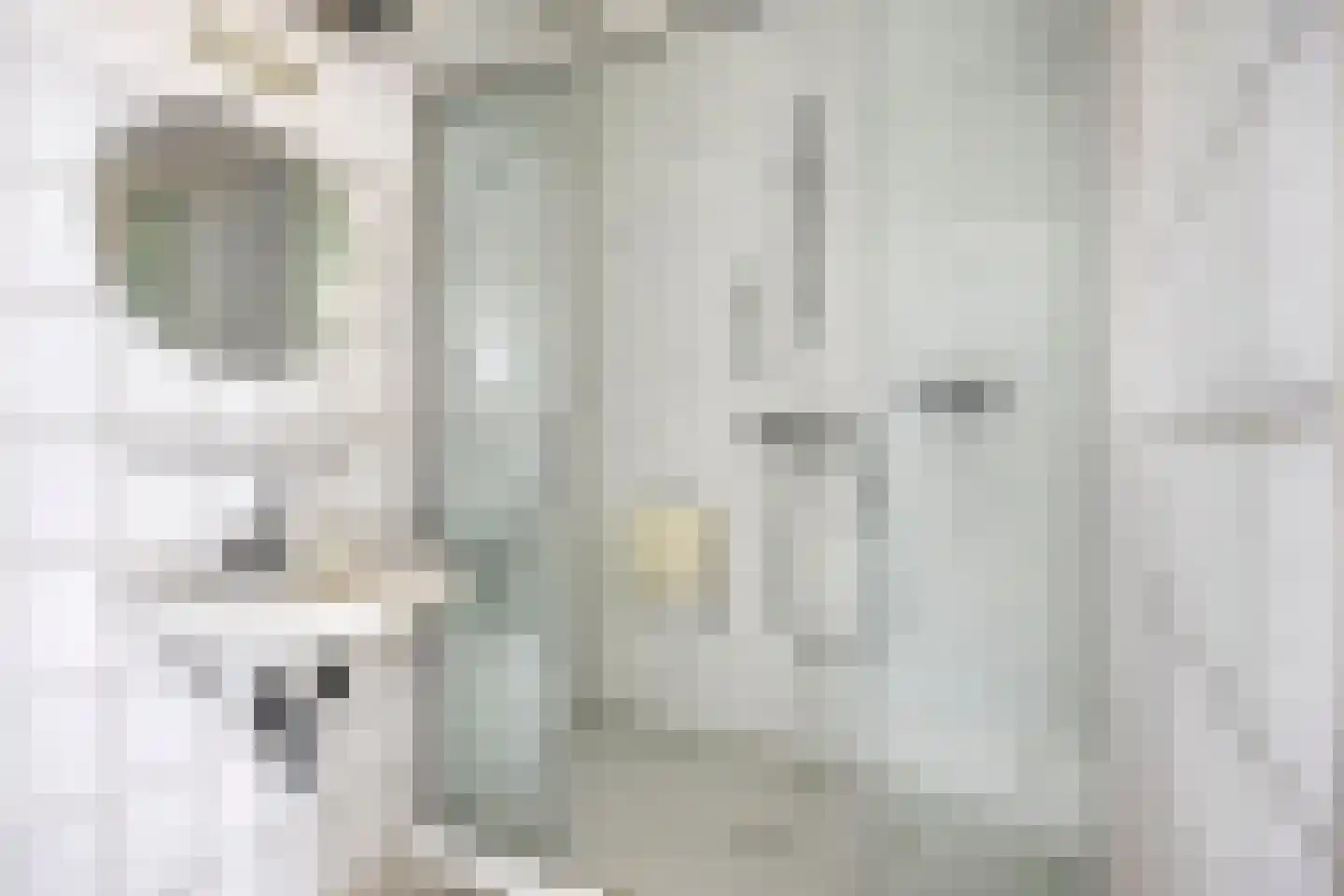 Dreef 70 Gouda thumbnail 4