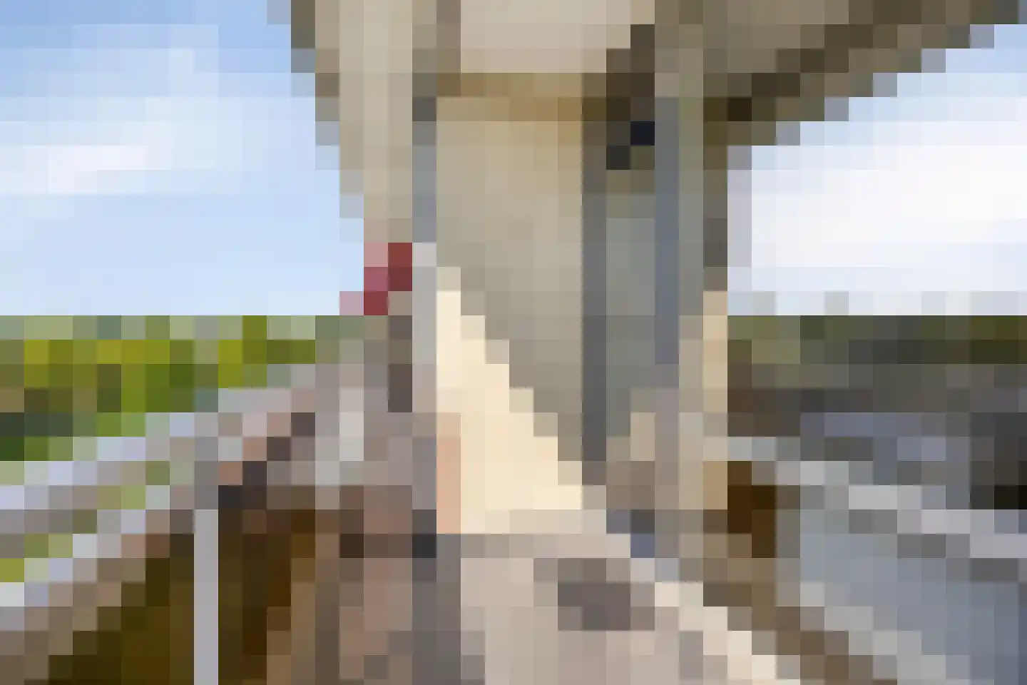 Dreef 70 Gouda thumbnail 5