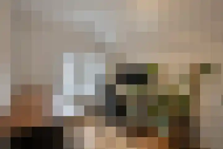 Dreef 72 Veldhoven thumbnail 23