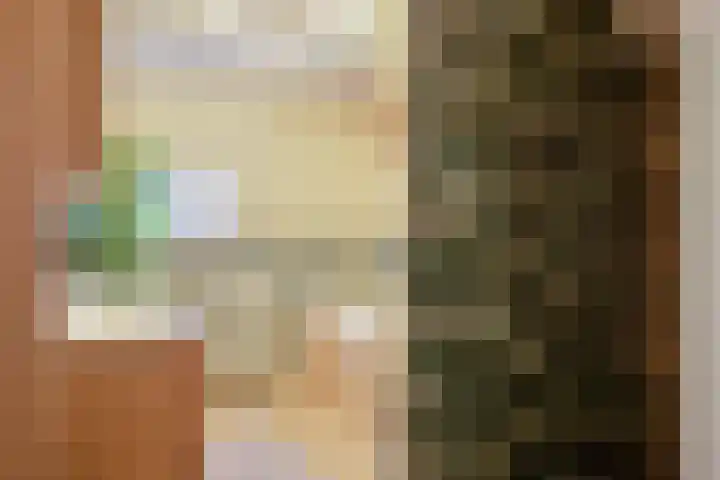 Dreef 72 Veldhoven thumbnail 24