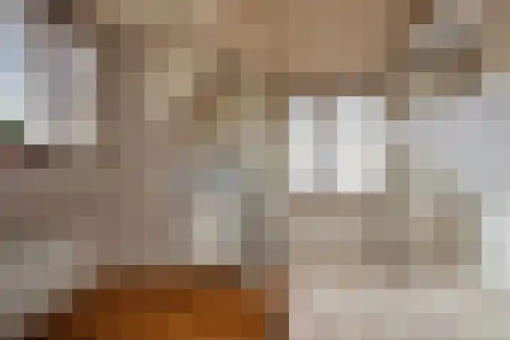 Dreef 72 Veldhoven thumbnail 30