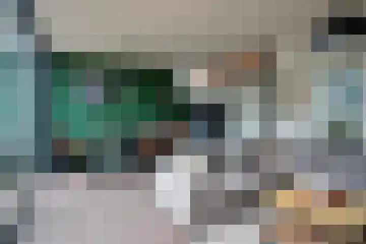 Dreef 72 Veldhoven thumbnail 31