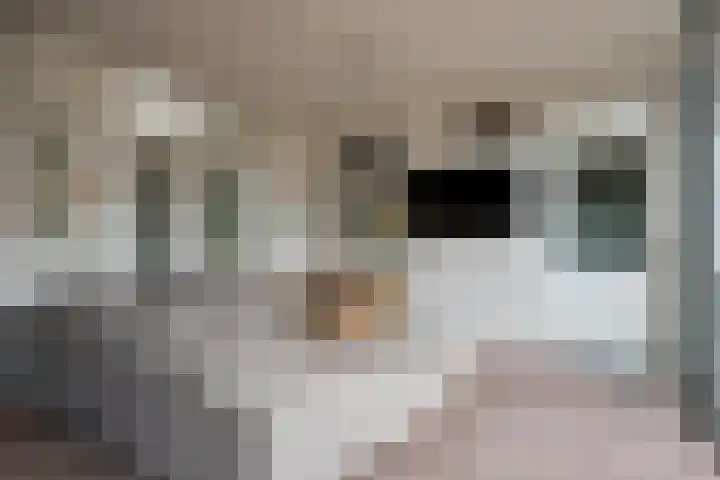 Dreef 72 Veldhoven thumbnail 32