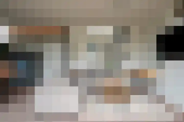 Dreef 72 Veldhoven thumbnail 33