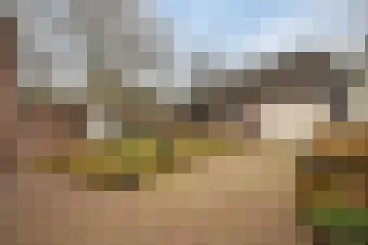 Dreef 72 Veldhoven thumbnail 35