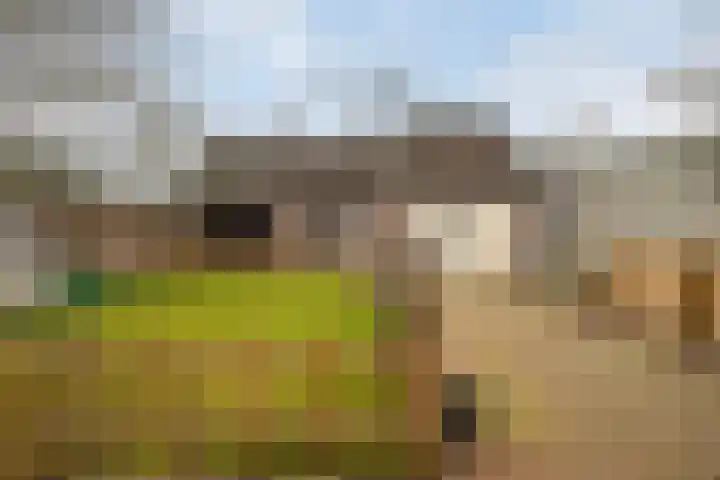 Dreef 72 Veldhoven thumbnail 36