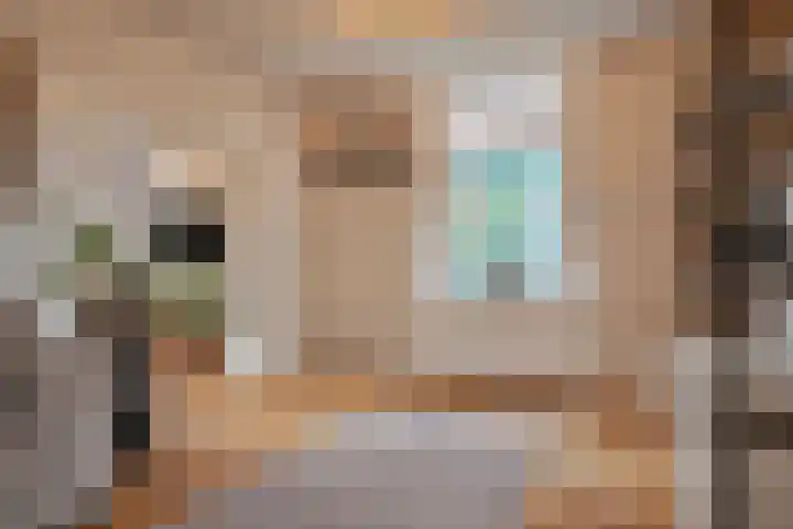 Dreef 72 Veldhoven thumbnail 4