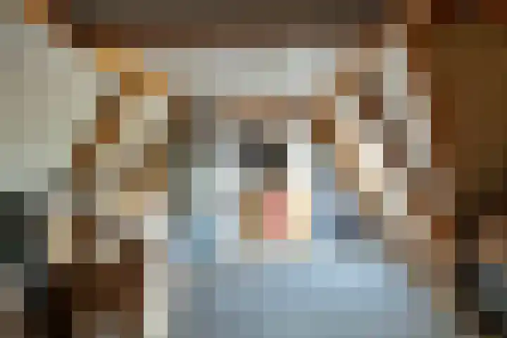 Dreef 72 Veldhoven thumbnail 42