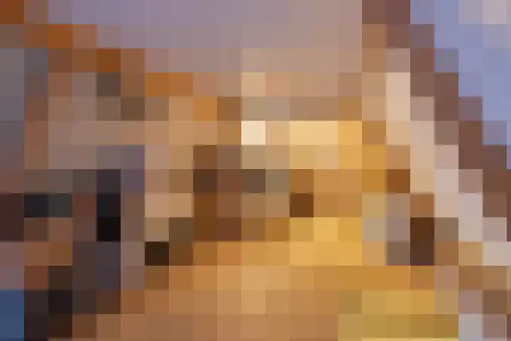 Dreef 72 Veldhoven thumbnail 43