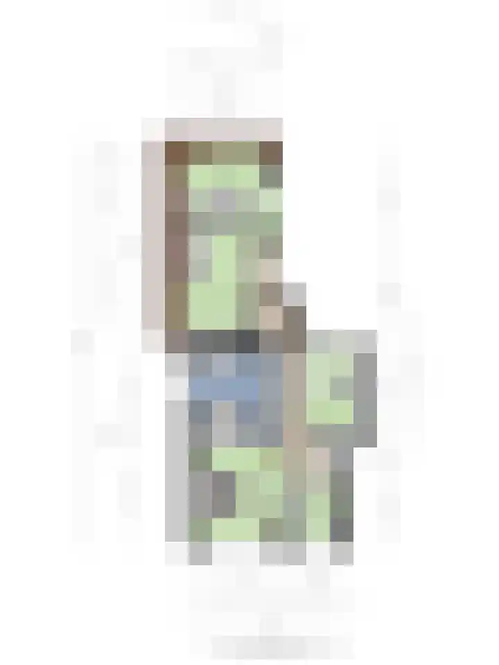 Dreef 72 Veldhoven thumbnail 49