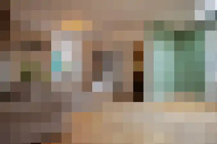 Dreef 72 Veldhoven thumbnail 9