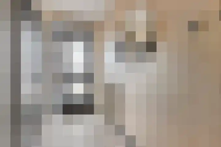 Dreef 72 Vroomshoop thumbnail 10