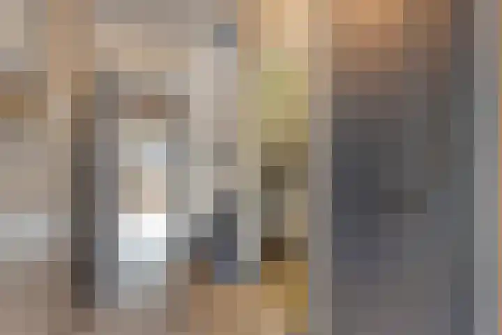 Dreef 72 Vroomshoop thumbnail 12