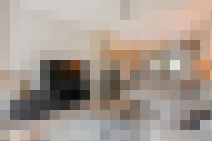 Dreef 72 Vroomshoop thumbnail 15