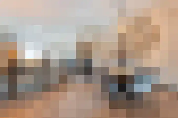 Dreef 72 Vroomshoop thumbnail 17