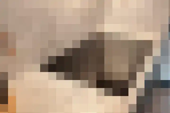 Dreef 72 Vroomshoop thumbnail 22