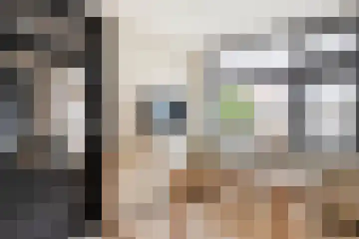 Dreef 72 Vroomshoop thumbnail 24