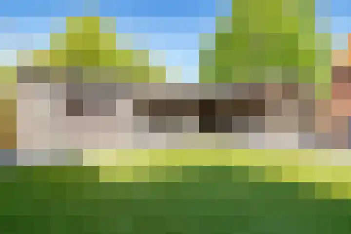 Dreef 72 Vroomshoop thumbnail 29