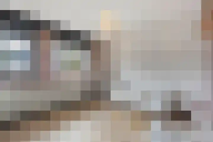Dreef 72 Vroomshoop thumbnail 31