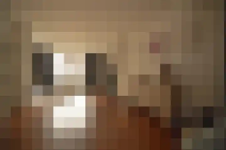 Dreef 72 Vroomshoop thumbnail 34