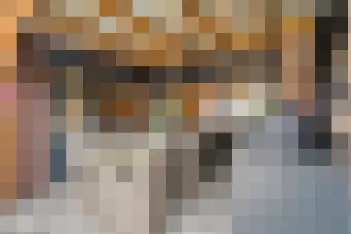 Dreef 72 Vroomshoop thumbnail 39