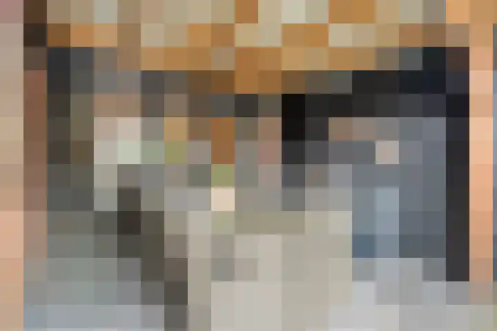 Dreef 72 Vroomshoop thumbnail 40