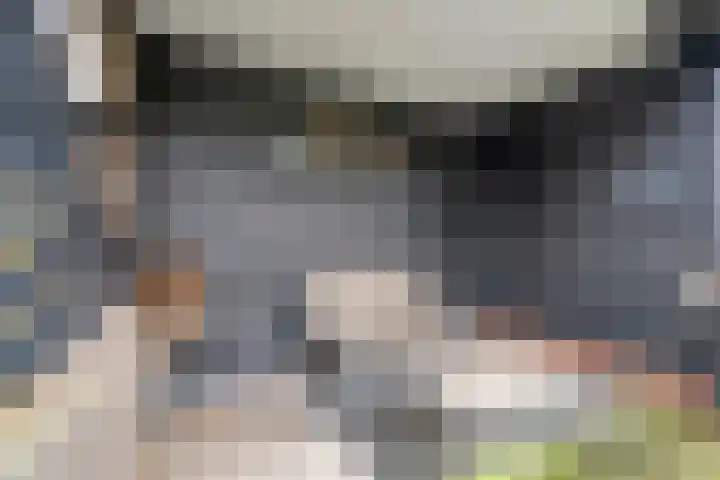 Dreef 72 Vroomshoop thumbnail 43