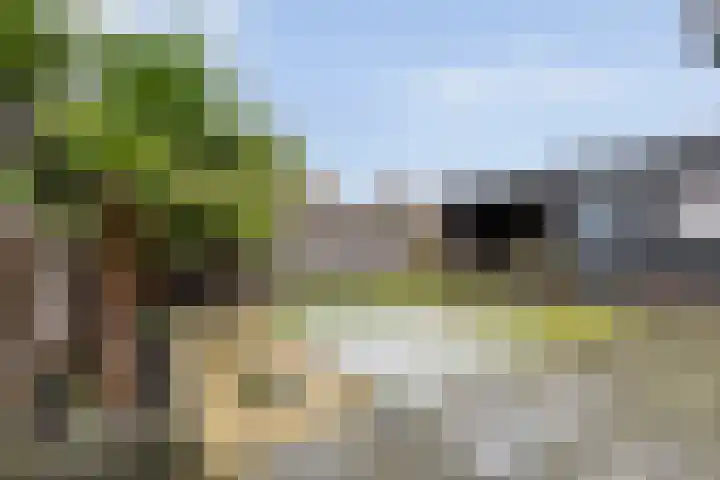 Dreef 72 Vroomshoop thumbnail 44