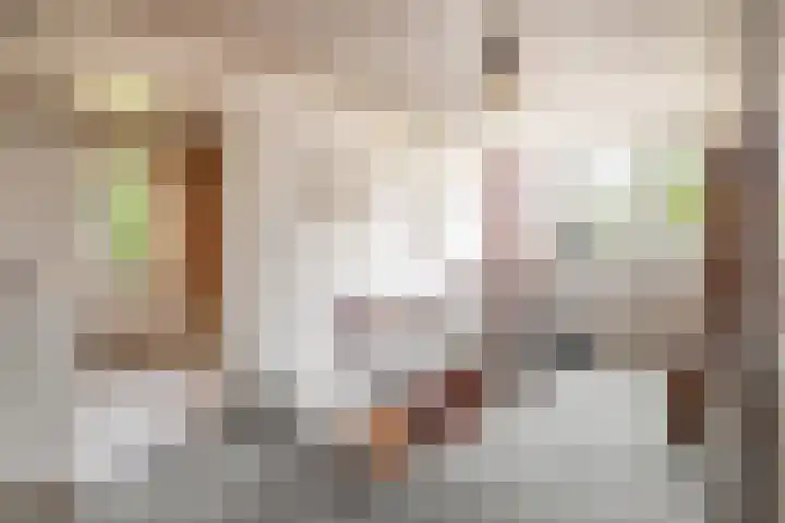 Dreef 73 Eersel thumbnail 19