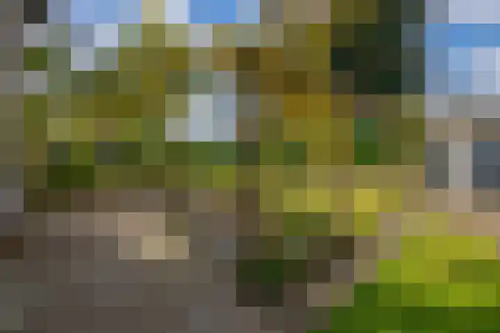 Dreef 73 Eersel thumbnail 28
