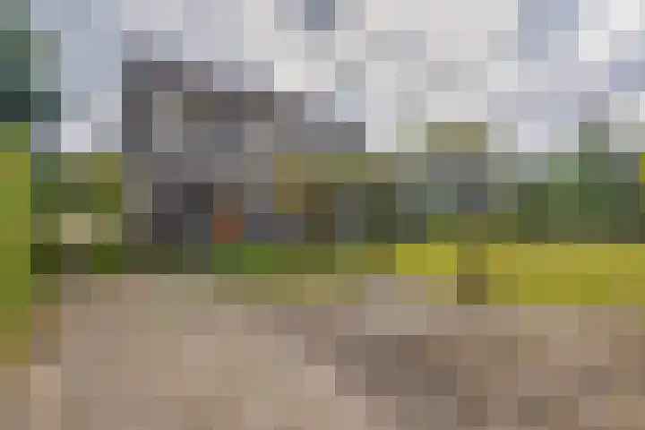 Dreef 73 Eersel thumbnail 29