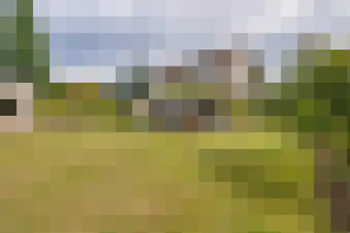 Dreef 73 Eersel thumbnail 30