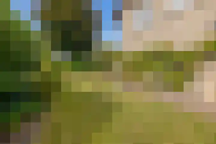Dreef 73 Eersel thumbnail 31