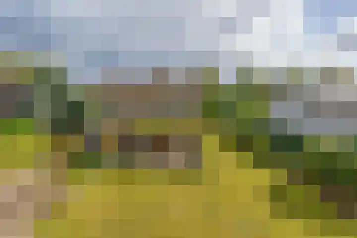 Dreef 73 Eersel thumbnail 32