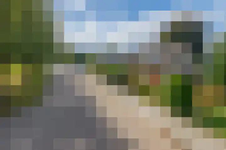 Dreef 73 Eersel thumbnail 33