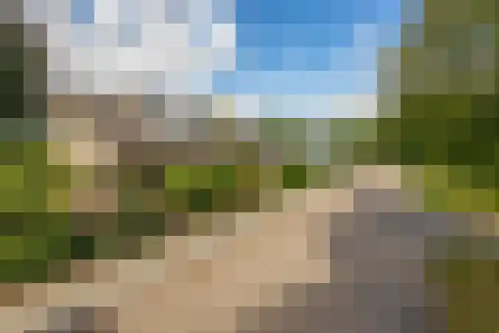 Dreef 73 Eersel thumbnail 34