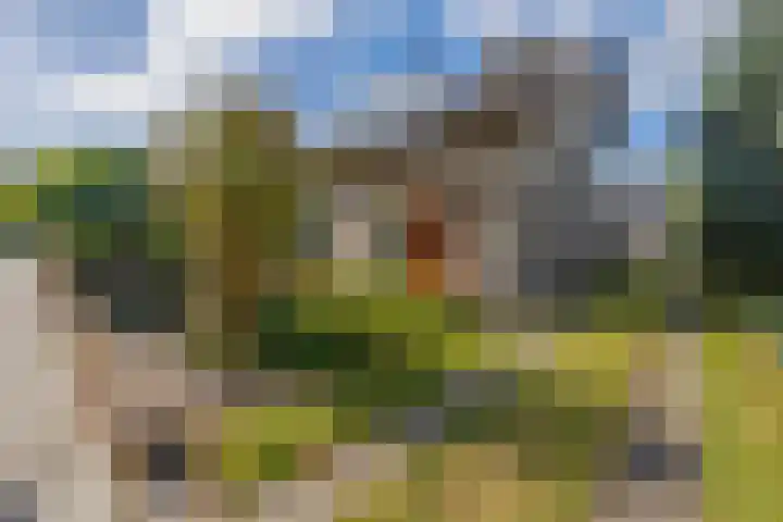 Dreef 73 Eersel thumbnail 5