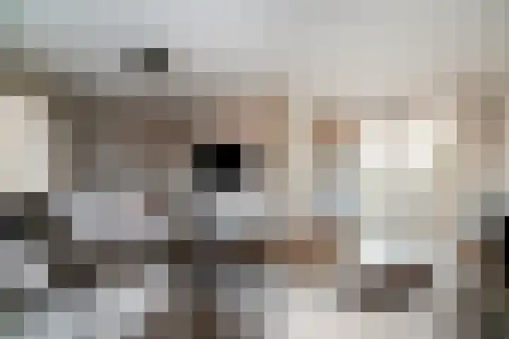 Dreef 8 Didam thumbnail 10