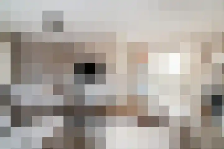 Dreef 8 Didam thumbnail 11