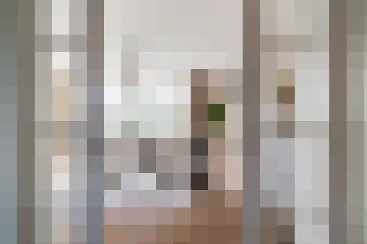 Dreef 8 Didam thumbnail 14