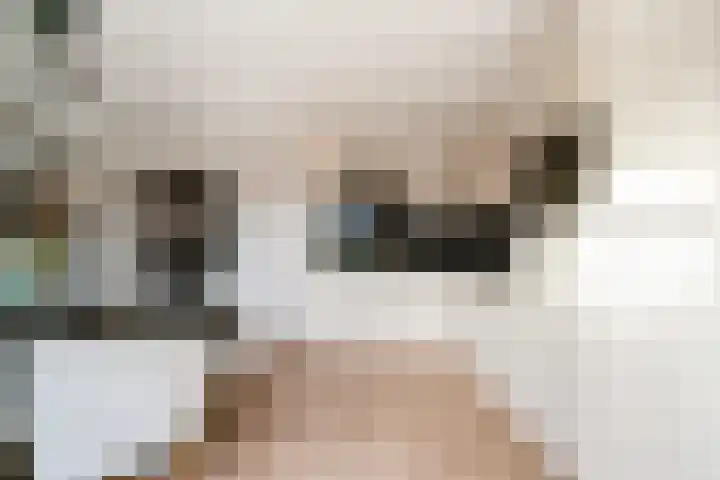 Dreef 8 Didam thumbnail 16