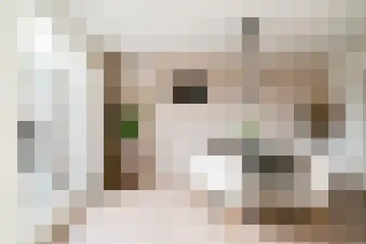 Dreef 8 Didam thumbnail 18