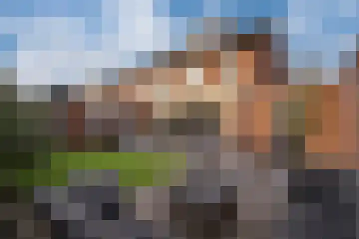 Dreef 8 Didam thumbnail 20