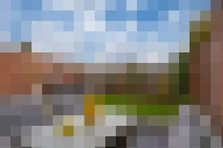 Dreef 8 Didam thumbnail 22
