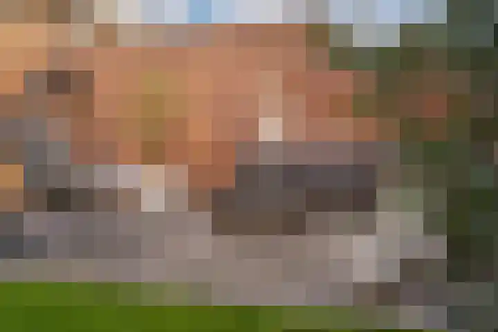 Dreef 8 Didam thumbnail 23