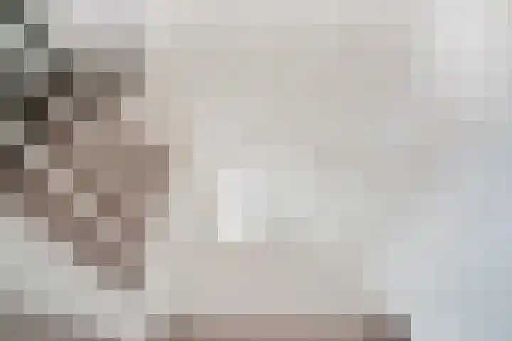 Dreef 8 Didam thumbnail 25