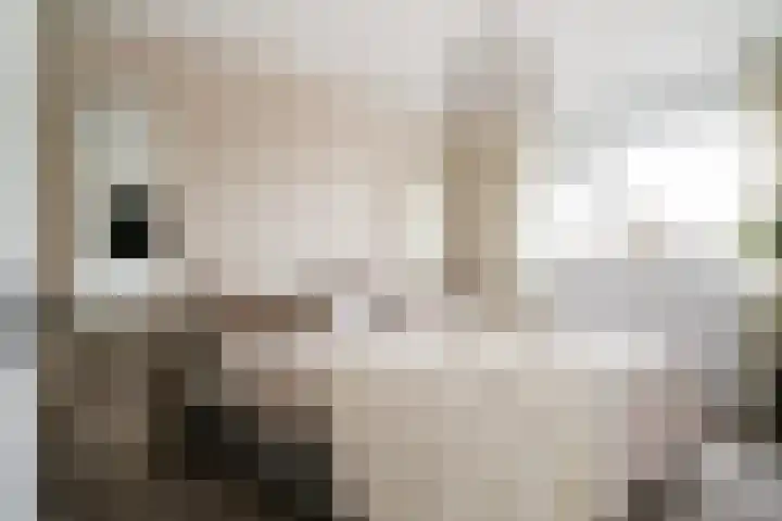 Dreef 8 Didam thumbnail 26