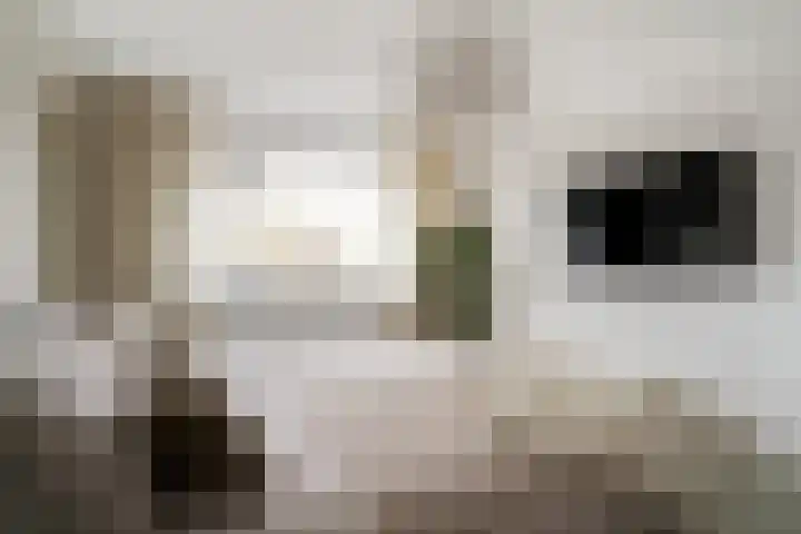 Dreef 8 Didam thumbnail 27