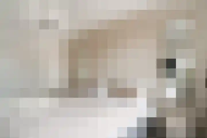 Dreef 8 Didam thumbnail 28