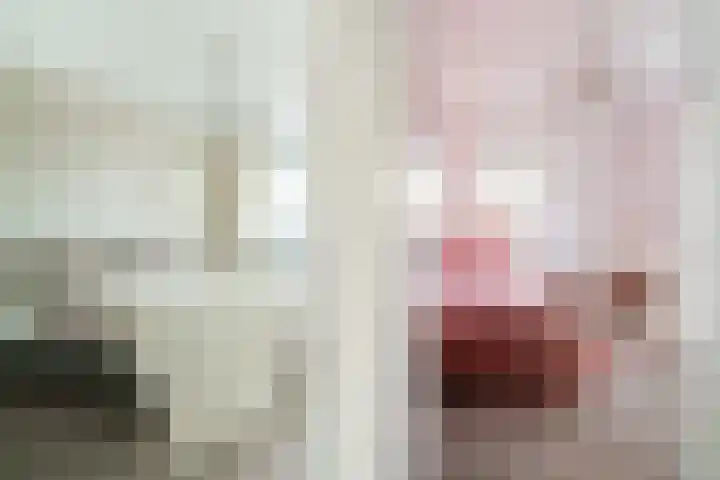 Dreef 8 Didam thumbnail 30